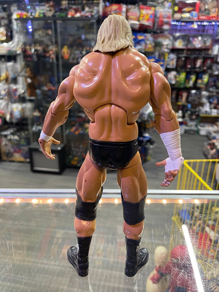 2008 Jakks WWE Maximum Aggression Triple H 13” Figure – The Misfit