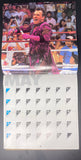 Rare Vintage 1991 WWF/WWE The Official World Wrestling Federation Superstars 1991 Calendar