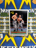 1990 WWF Classic Bushwhackers Butch and Luke #116 Trading Card