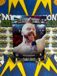 2016 Topps WWE Authority Data Base Perspectives Sheamus #9A Trading Card