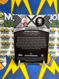 2016 Topps WWE Authority Data Base Perspectives Sheamus #9A Trading Card
