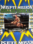 2016 Topps WWE Authority Data Base Perspectives Randy Orton #14A Trading Card