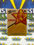 WWE 2006 Topps Heritage II Bushwhackers #75 Trading Card
