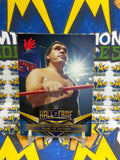 2018 Topps WWE Hall of Fame Andre The Giant Captains His Survivors Series Team To Victory #6 of 40 Trading Card