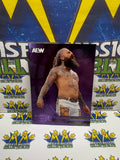 2022 Skybox AEW All Elite Wrestling Metal Universe Purple Spectrum Vincent #45 071/199 Trading Card
