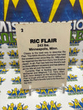 Vintage 1985 Wrestling All-Stars Ric Flair #2 Trading Card Hand Cut