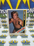 Vintage 1985 Wrestling All-Stars Terry Taylor #16 Trading Card Hand Cut