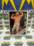 Vintage 1985 Wrestling All-Stars Jesse The Body Ventura #21 Trading Card Hand Cut