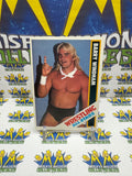Vintage 1985 Wrestling All-Stars Barry Windham #31 Trading Card Hand Cut