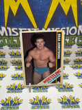 Vintage 1985 Wrestling All-Stars Brad Armstrong #42 Trading Card Hand Cut