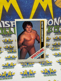 Vintage 1985 Wrestling All-Stars David Sammartino #53 Trading Card Hand Cut