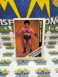 Vintage 1985 Wrestling All-Stars Bruno Sammartino #54 Trading Card Hand Cut