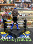 WWE Slam Crate Slam Star Series Aj Styles Figure