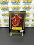 1991 WWF Swanson Legion of Doom Hawk & Animal Trading Card