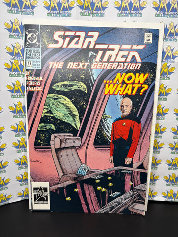 1991 DC Comics Star Trek The Next Generation #17 Comic Book