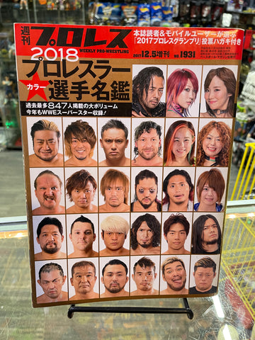 Weekly Pro Wrestling Japanese Magazine November 15, 2017 No.1931