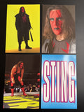 1998 Panini WCW vs NWO Superstars Wolfpack Sting Picture Card Set