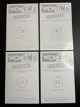 1998 Panini WCW vs NWO Superstars Wolfpack Sting Picture Card Set