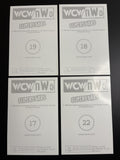 1998 Panini WCW vs NWO Superstars Wolfpack Sting Picture Card Set