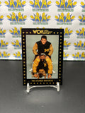 1991 WCW World Championship Wrestling The Steiner Brothers #6 Trading Card