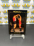 1991 WCW World Championship Wrestling El Gigante #64 Trading Card