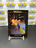 1991 WCW World Championship Wrestling Sting #109 Trading Card