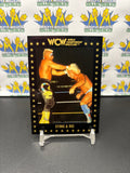 1991 WCW World Championship Wrestling Sting #20 Trading Card