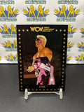 1991 WCW World Championship Wrestling Sting #1 Trading Card