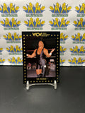 1991 WCW World Championship Wrestling Sid Vicious #19 Trading Card