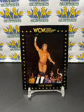 1991 WCW World Championship Wrestling Flyin’ Brian Pillman #103 Trading Card