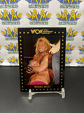 1991 WCW World Championship Wrestling Michael Hayes #3 Trading Card