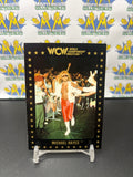 1991 WCW World Championship Wrestling Michael Hayes #24 Trading Card