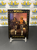 1991 WCW World Championship Wrestling The Fabulous Freebirds  #5 Trading Card