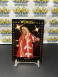 1991 WCW World Championship Wrestling Ric Flair #8 Trading Card