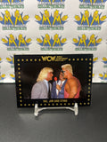 1991 WCW World Championship Wrestling Ric Flair Jim Ross & Sting #66 Trading Card