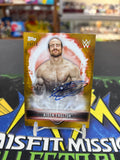 2016 Topps WWE Superstar Aiden English #A-AE 09/10 Gold Parralell Trading Card