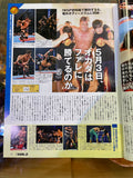 Weekly Pro Wrestling Japanese Magazine May 2, 2017 No.1902