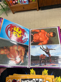 1998 Panini WCW vs NWO Superstars Photos Card Album Complete Set 1-108