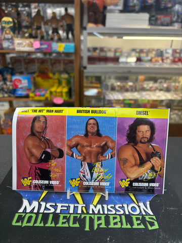 1995 WWE WWF Coliseum Video Bret Hart, British Bulldog, Diesel Light Switch Cover Stickers