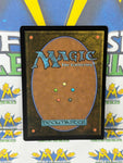 Magic the Gathering: Red Wilds of Eldraine Creature Haradrim Spearmaster Human Warrior Foil Card
