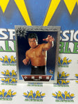 1997 BBM Sparkling Fighters Kuniaki Kobayashi SF-79 Trading Card