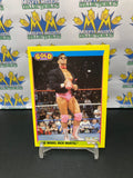 1992 WWE WWF Merlin Gold Series 2 The Model Rick Martel #81 Trading Cards