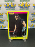 1992 WWE WWF Merlin Gold Series 2 Undertaker #93 Trading Card