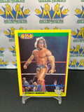 1992 WWE WWF Merlin Gold Series 2 Ultimate Warrior #19 Trading Card