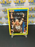1992 WWE WWF Merlin Gold Series 2 Brian Knobbs of The Nasty Boys #69 Trading Card