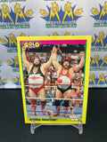 1992 WWE WWF Merlin Gold Series 2 Natural Disasters #22 Trading Card