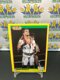 1992 WWE WWF Merlin Gold Series 2 Shawn Michaels #21 Trading Card