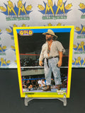 1992 WWE WWF Merlin Gold Series 2 Skinner #89 Trading Card