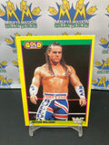 1992 WWE WWF Merlin Gold Series 2 British Bulldog  #23 Trading Card