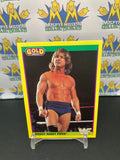 1992 WWE WWF Merlin Gold Series 2 Rowdy Roddy Piper  #51 Trading Card